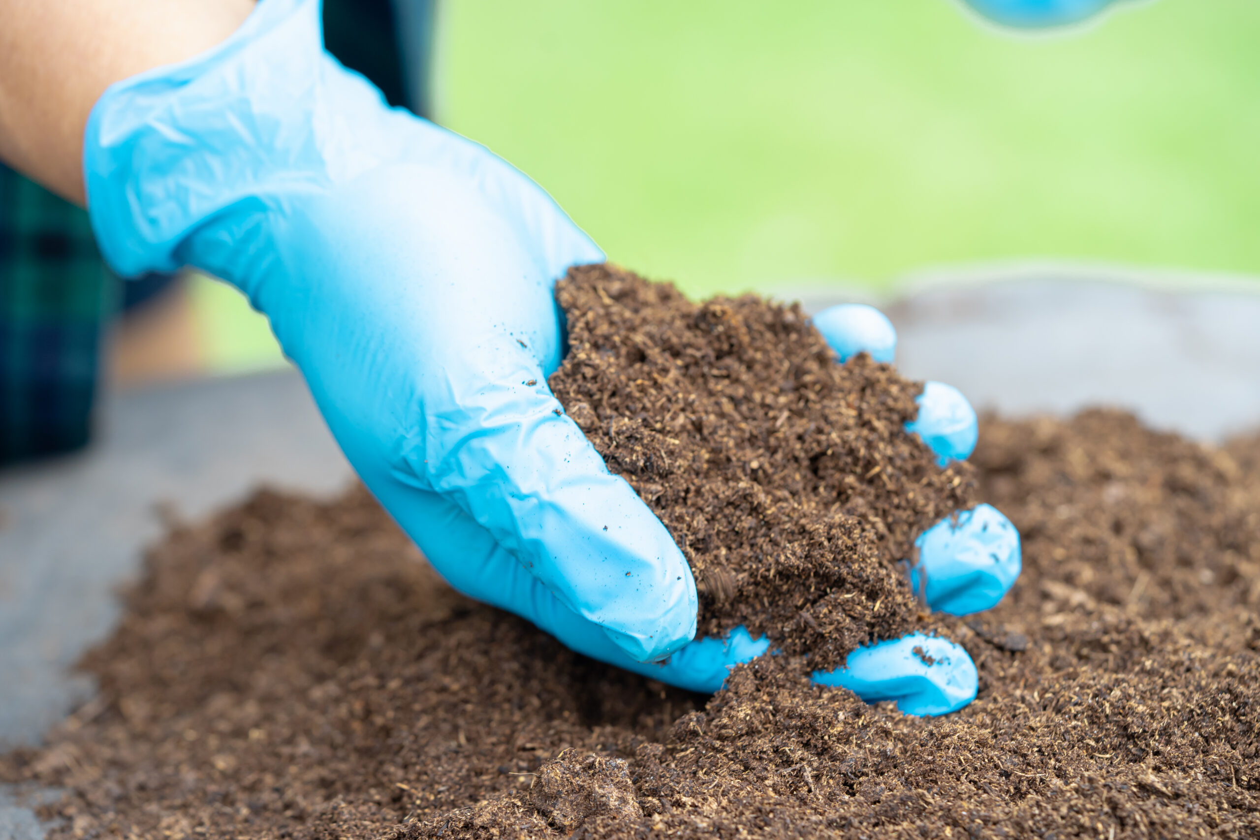 Hand holding peat moss organic matter improve soil for agriculture organic plant growing, ecology concept.