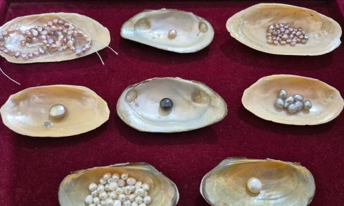 96ddcea4-425c-4351-a04c-7ce3c7c51421