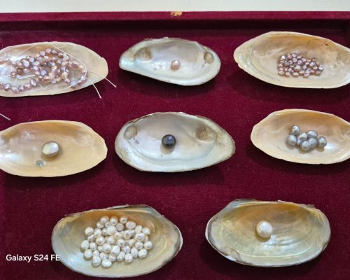 96ddcea4-425c-4351-a04c-7ce3c7c51421